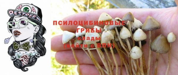 spice Усмань