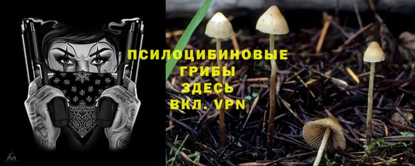 COCAINE Краснослободск