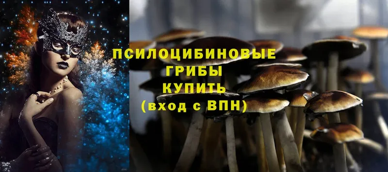 Галлюциногенные грибы мухоморы  мега рабочий сайт  Томилино  дарнет шоп 